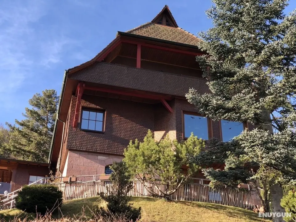 Haus der guten Freunde - Öne Çıkan Resim