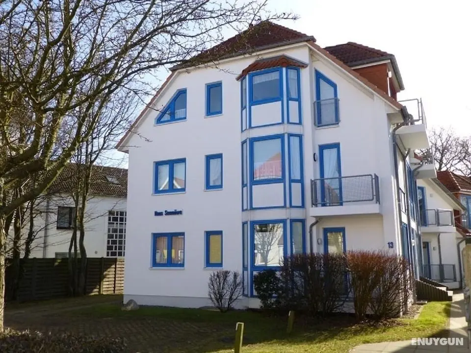 Haus Seemöwe - Öne Çıkan Resim