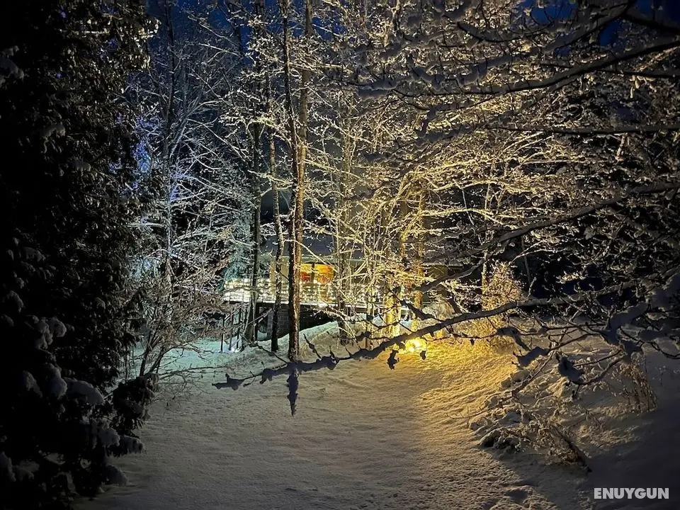 Hauser's Bayfield Cabin - Öne Çıkan Resim
