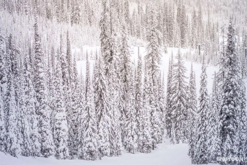 Hayden Lodge by iTrip Vacations Aspen Snowmass - Öne Çıkan Resim