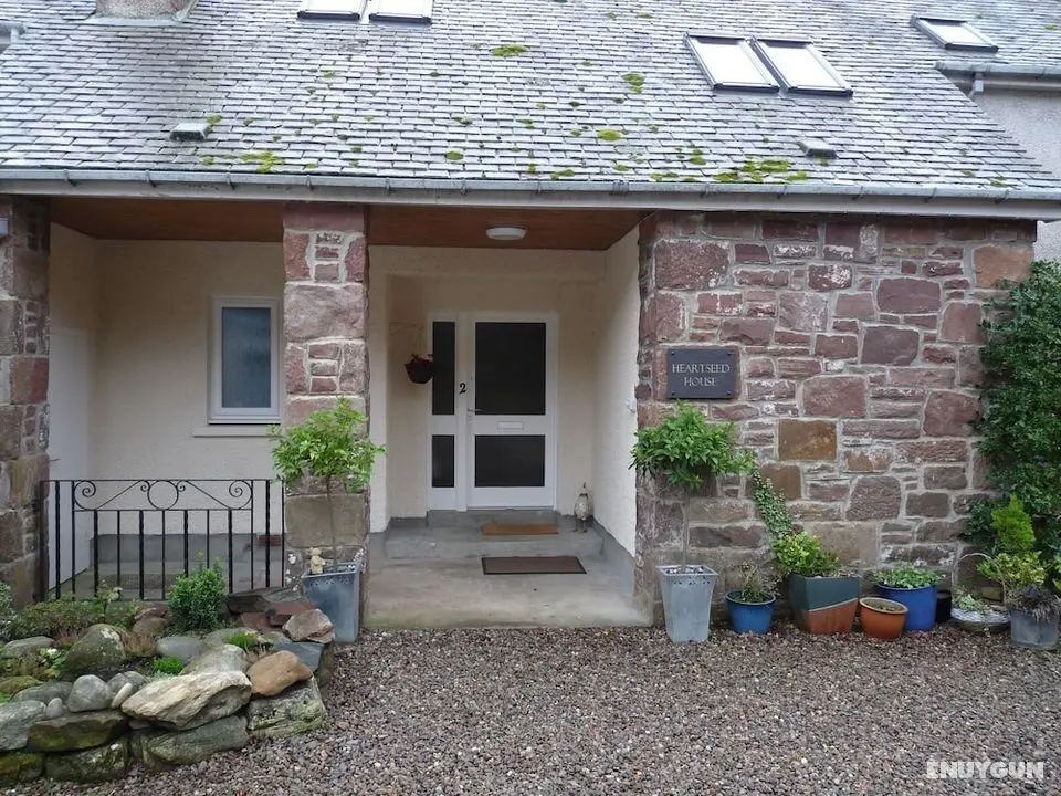 Heartseed House B&B - Öne Çıkan Resim