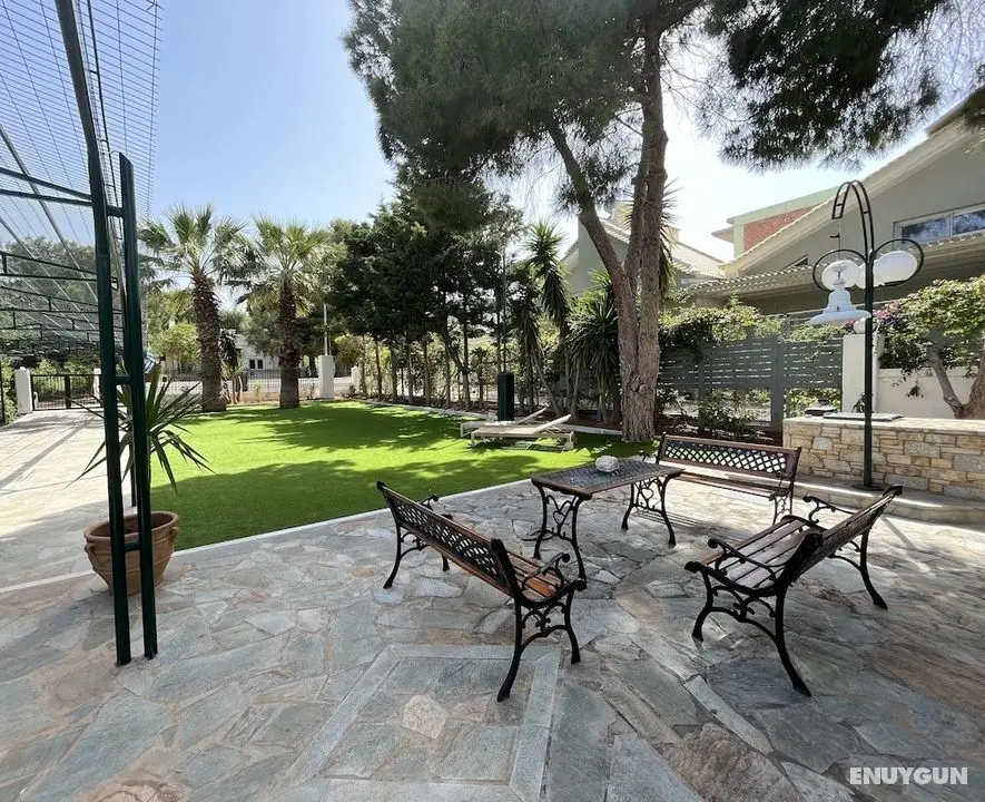 Hector Villa Airport - Dış Mekanlar