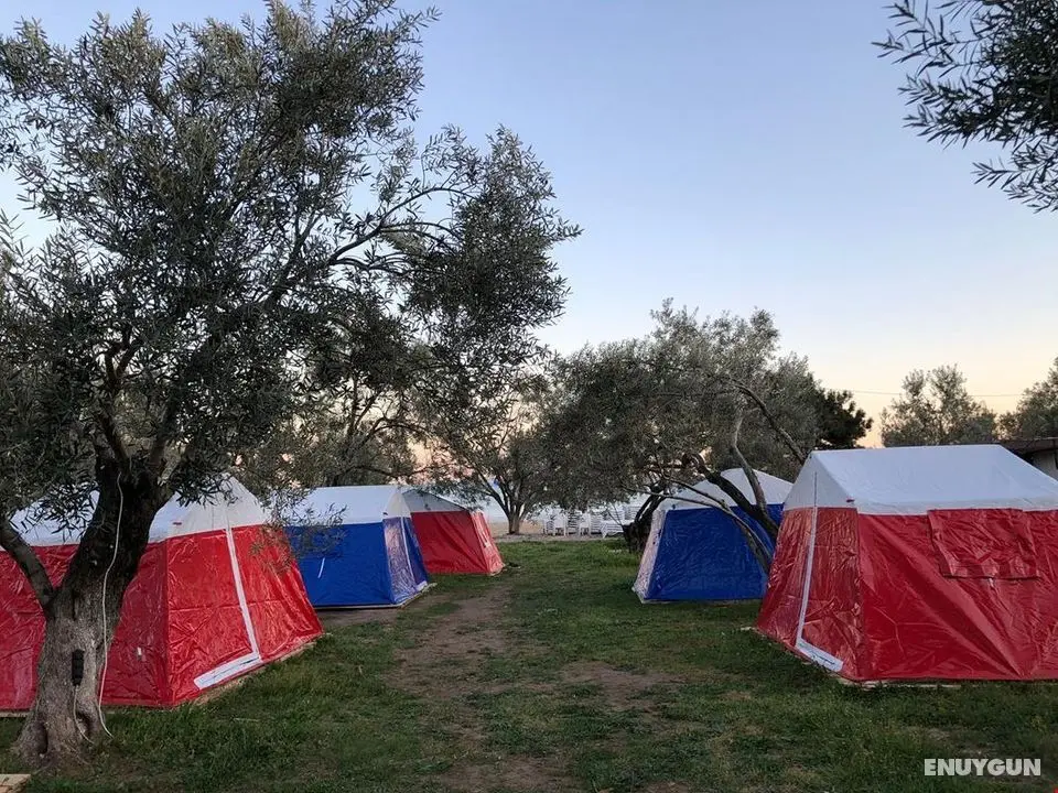 Helen Camping Beachrestaurant - Plaj