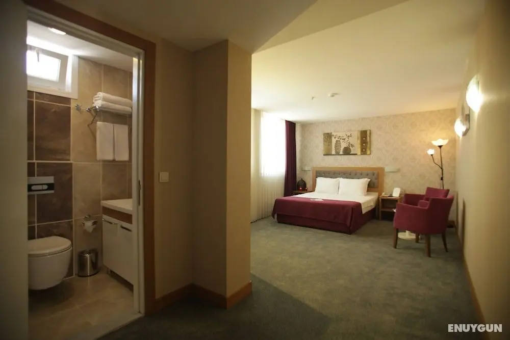 Helikon Business Hotel - Öne Çıkan Resim