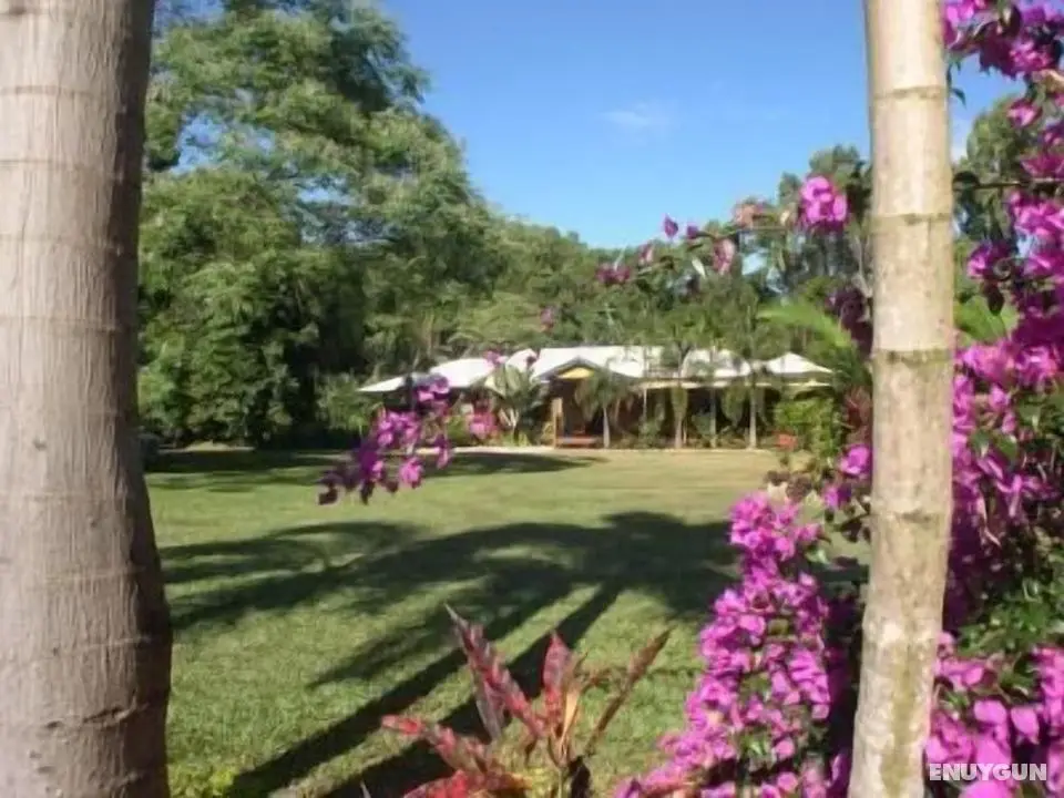 Hibiscus Lodge Bed & Breakfast - Öne Çıkan Resim