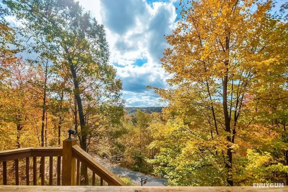 High Country Home - Oda Manzaraları