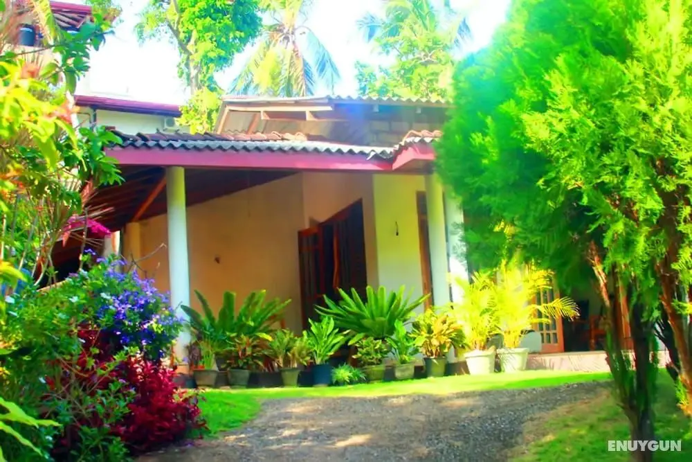 HikkaJayaSri Villa Peacock - Öne Çıkan Resim
