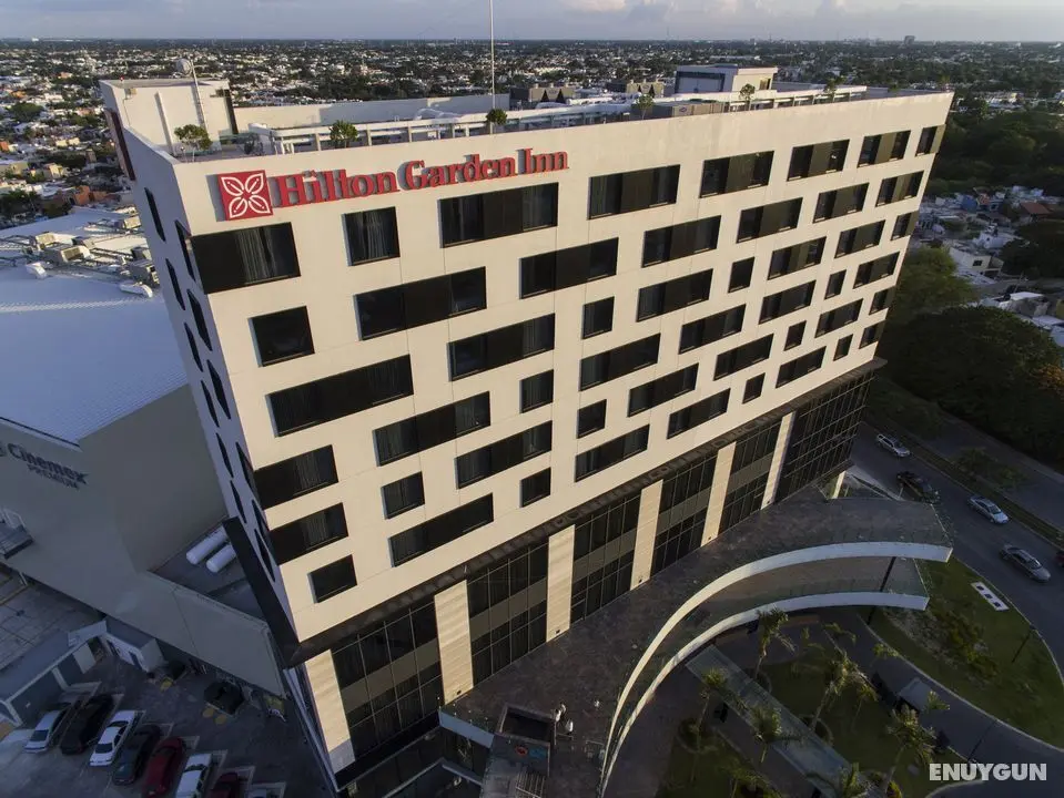 Hilton Garden Inn Merida - Genel