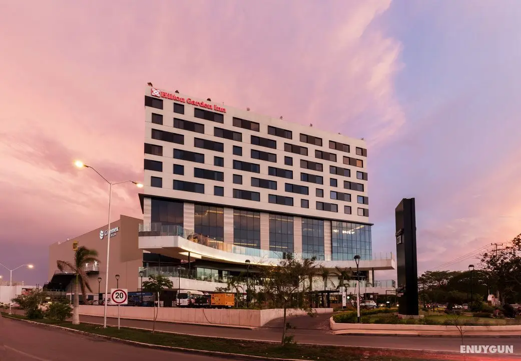 Hilton Garden Inn Merida - Genel