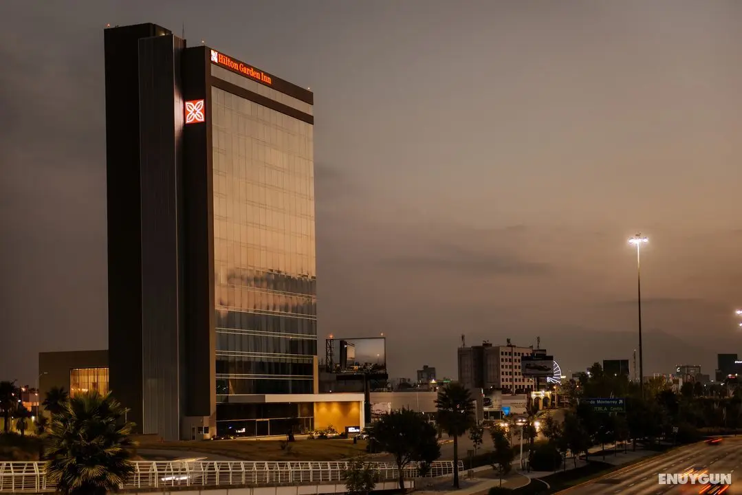 Hilton Garden Inn Puebla Angelópolis - Genel