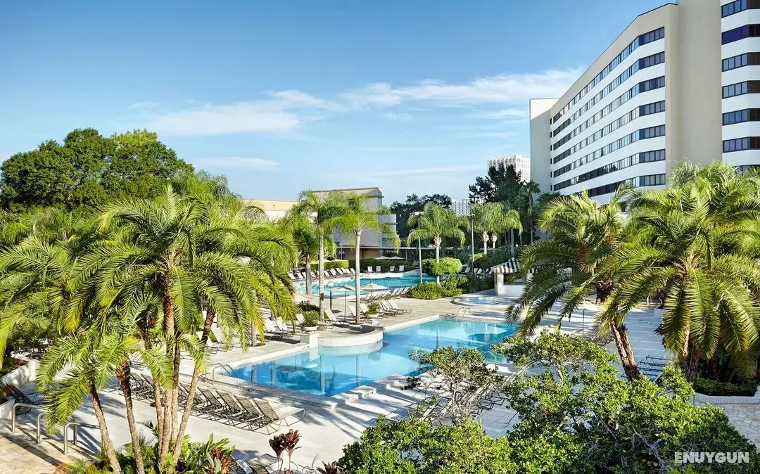 Hilton Orlando Lake Buena Vista - Havuz