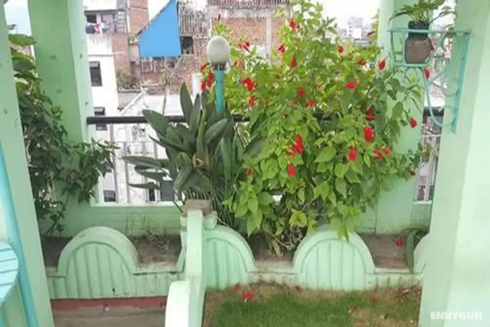 Himalayan Guest House - Öne Çıkan Resim