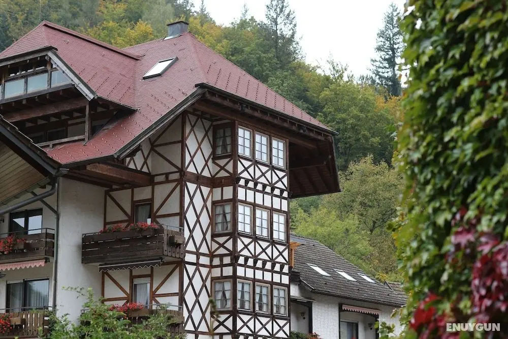 Hotel Hirsch - Öne Çıkan Resim
