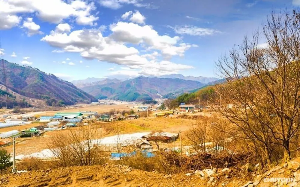Hoengseong Mokkoji Pension - Misafir Tesisleri ve Hizmetleri