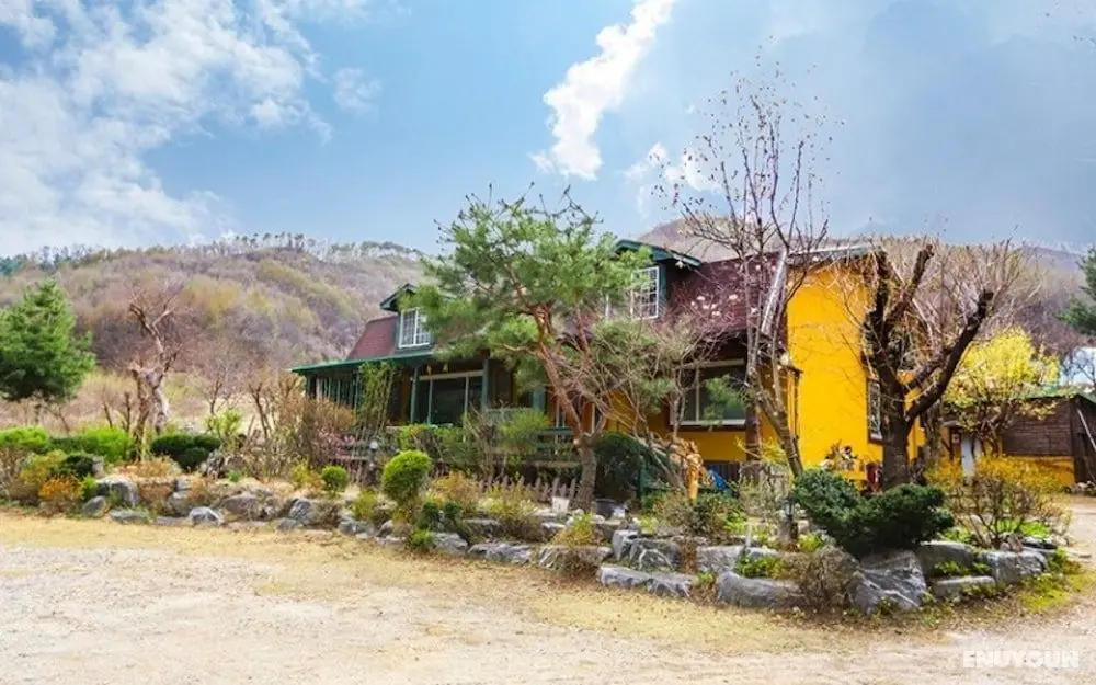 Hoengseong Sigollageune Pension - Misafir Tesisleri ve Hizmetleri