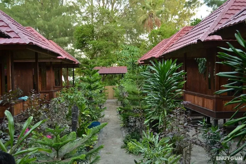 Hoga Dive Inn Wakatobi - Öne Çıkan Resim