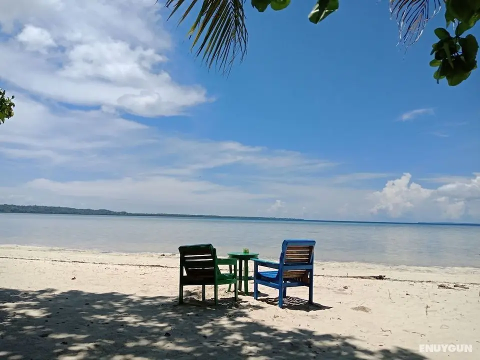 Hoga Island Dive Resort Wakatobi - Öne Çıkan Resim