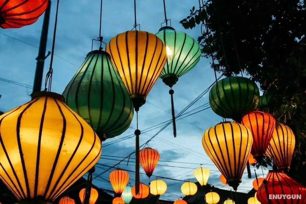 Hoi An Green Channel Homestay - İç Mekan