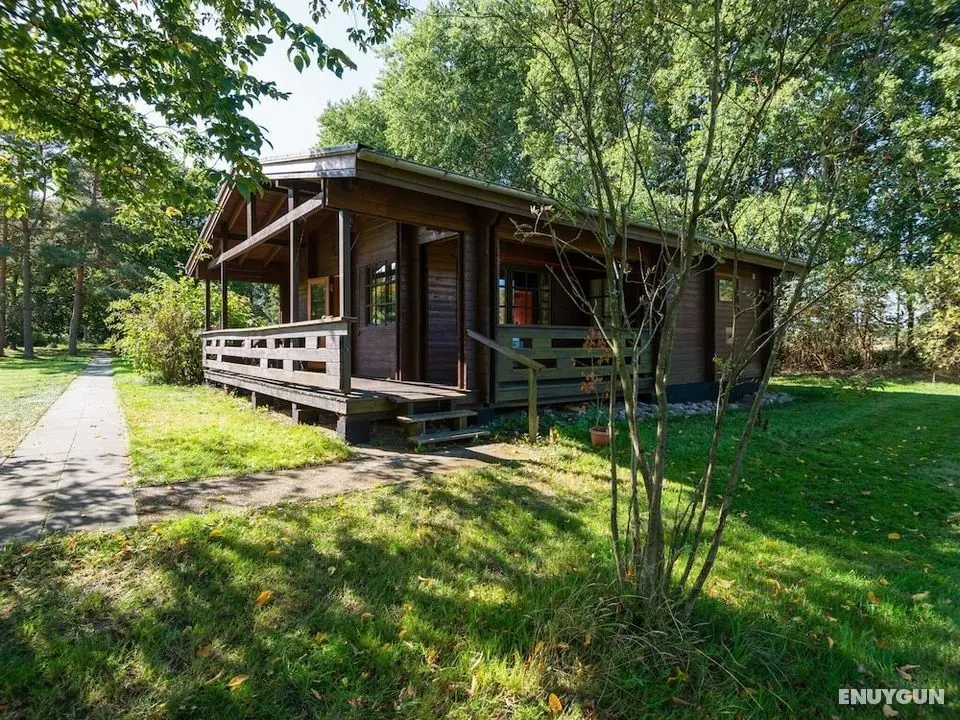 Holiday Home in Eschede With Terrace, Garden, Barbecue, Pond - Öne Çıkan Resim