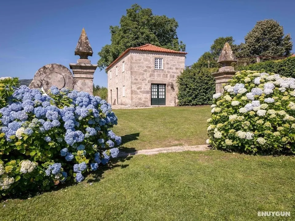 Holiday Home in Ponte de Lima With Swimming Pool - Öne Çıkan Resim