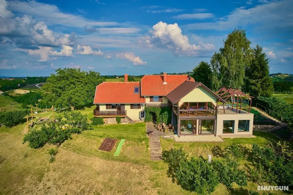 Holiday House Podhamer Boris - Öne Çıkan Resim