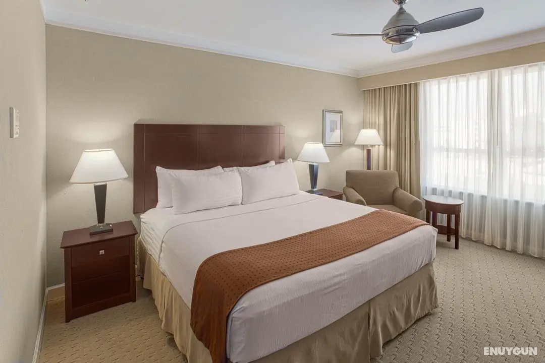 Holiday Inn Baton Rouge College Drive I-10 - Oda