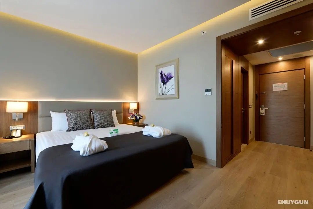 Holiday Inn Bursa - City Centre, an IHG Hotel - Oda