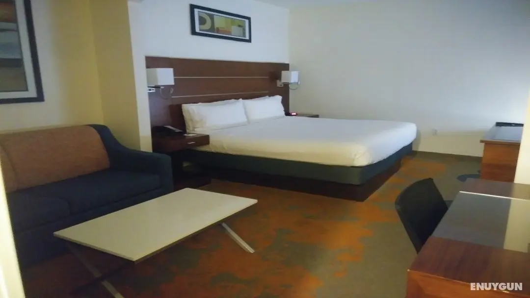 Holiday Inn Express and Suites Dallas Park Central - Oda