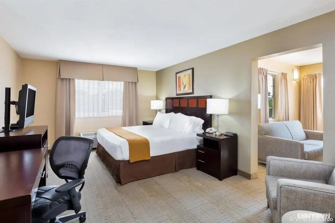 Holiday Inn Express Palestine - Oda
