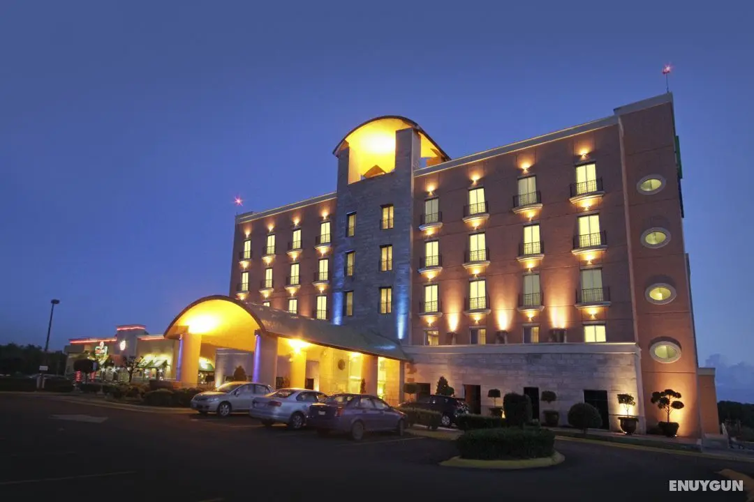 Holiday Inn Express Silao Aeropuerto Bajio - Genel