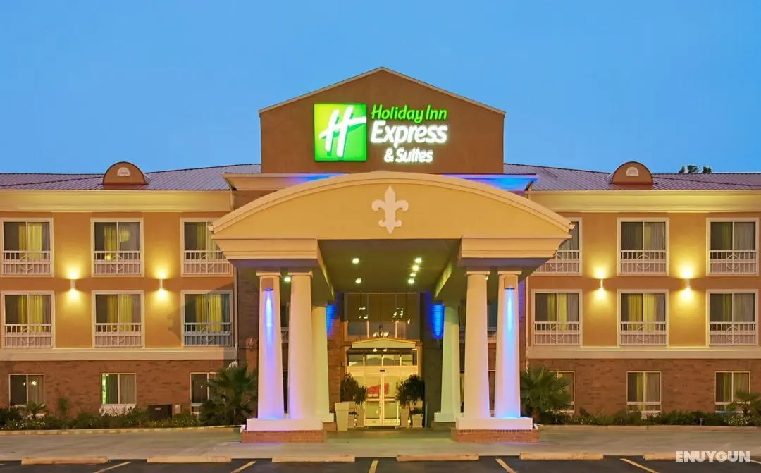 Holiday Inn Express Hotel & Suites Alexandria - Genel