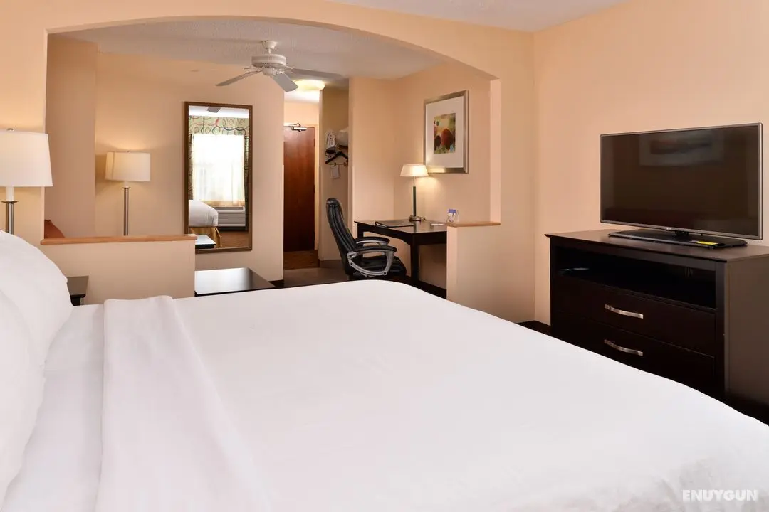 Holiday Inn Express and Suites Cincinnati Blue Ash - Oda