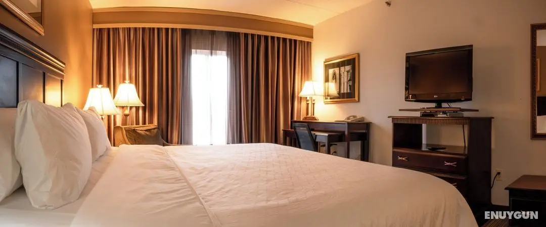 Holiday Inn Express and Suites Tuscaloosa Universi - Öne Çıkan Resim