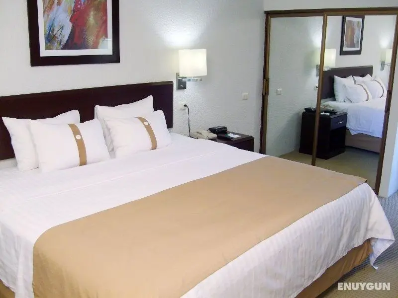 Holiday Inn Hermosillo - Oda