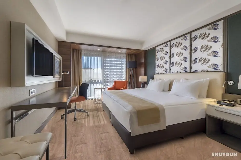 Holiday Inn Kayseri - Duvenonu, an IHG Hotel - Öne Çıkan Resim