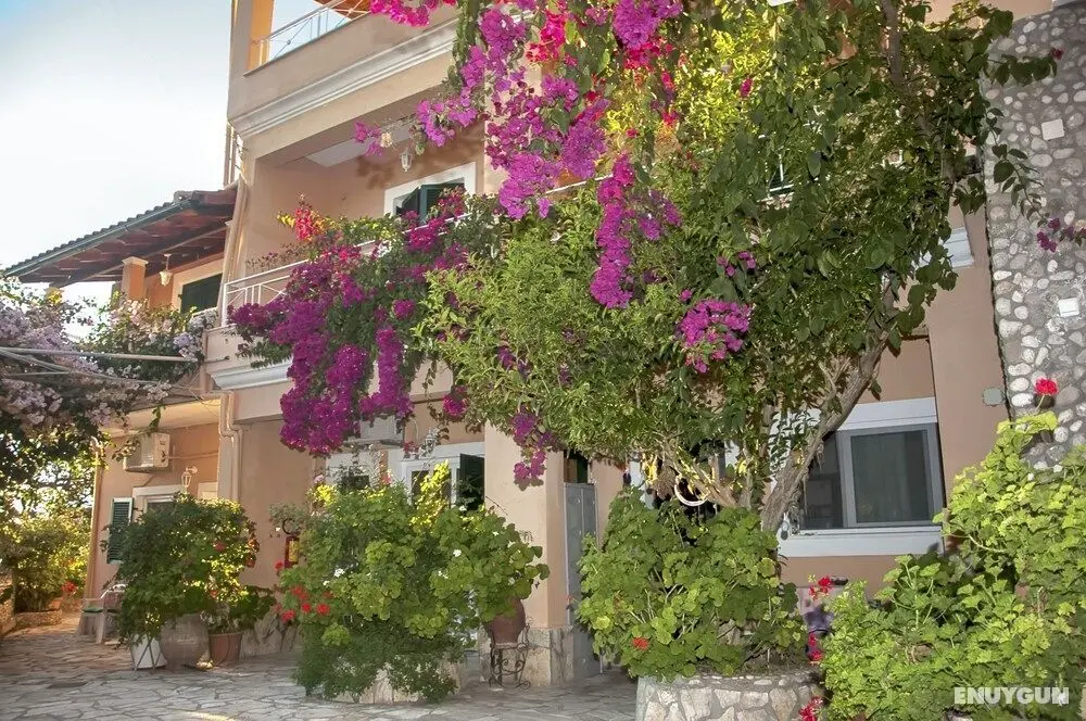 Holiday Studio Apartment Tonia - Pelekas Beach, Corfu - Dış Mekan