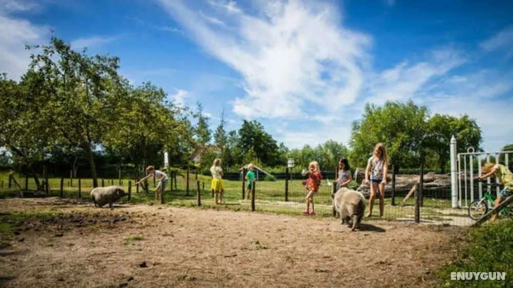 Holidayhome 6 Persons - Kon Emmaweg 26 Vrouwenpolder Uitspanning Oranjezon - Öne Çıkan Resim