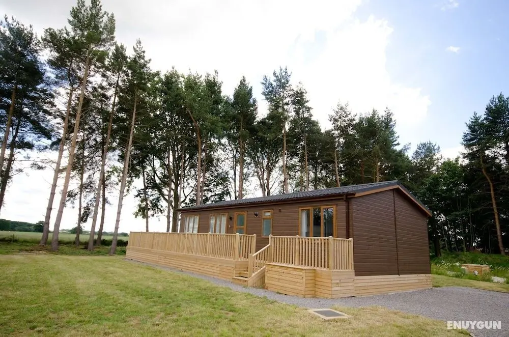 Hollicarrs - Woodland Lodge - Dış Mekan