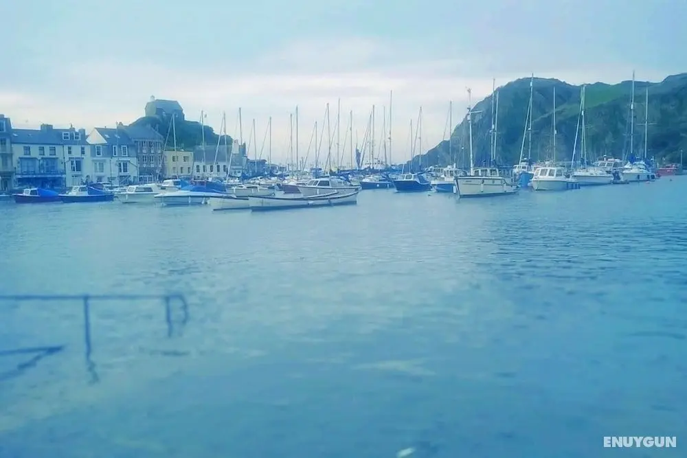 Hollies and Ilfracombe Harbour View - Dış Mekan