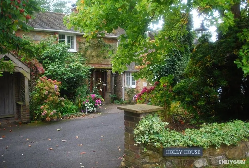 Holly House - Öne Çıkan Resim