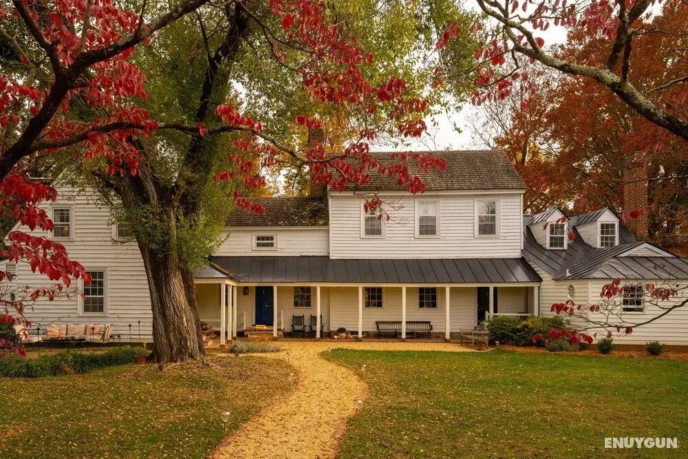 Hollymead House - Öne Çıkan Resim