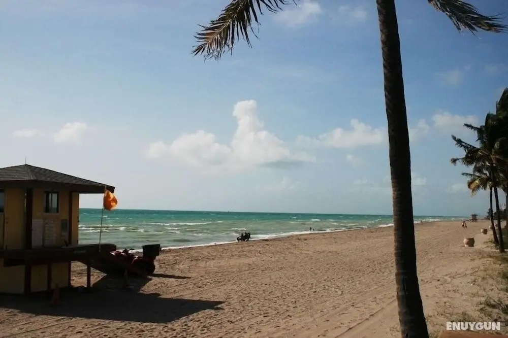 Hollywood Beach Resort-comfortable Large Studio - Öne Çıkan Resim