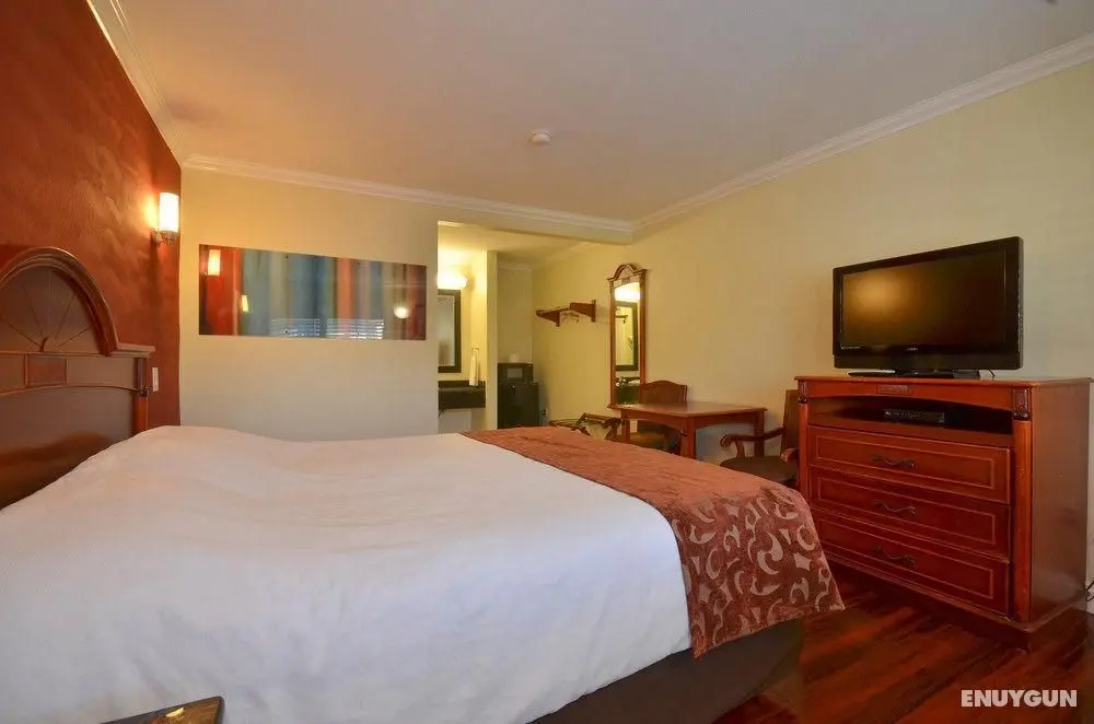 Hollywood City Inn - Genel