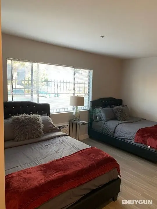 Hollywood Cozy Place - Öne Çıkan Resim