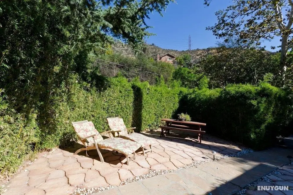 Hollywood Hills Canyon Breezes - Öne Çıkan Resim