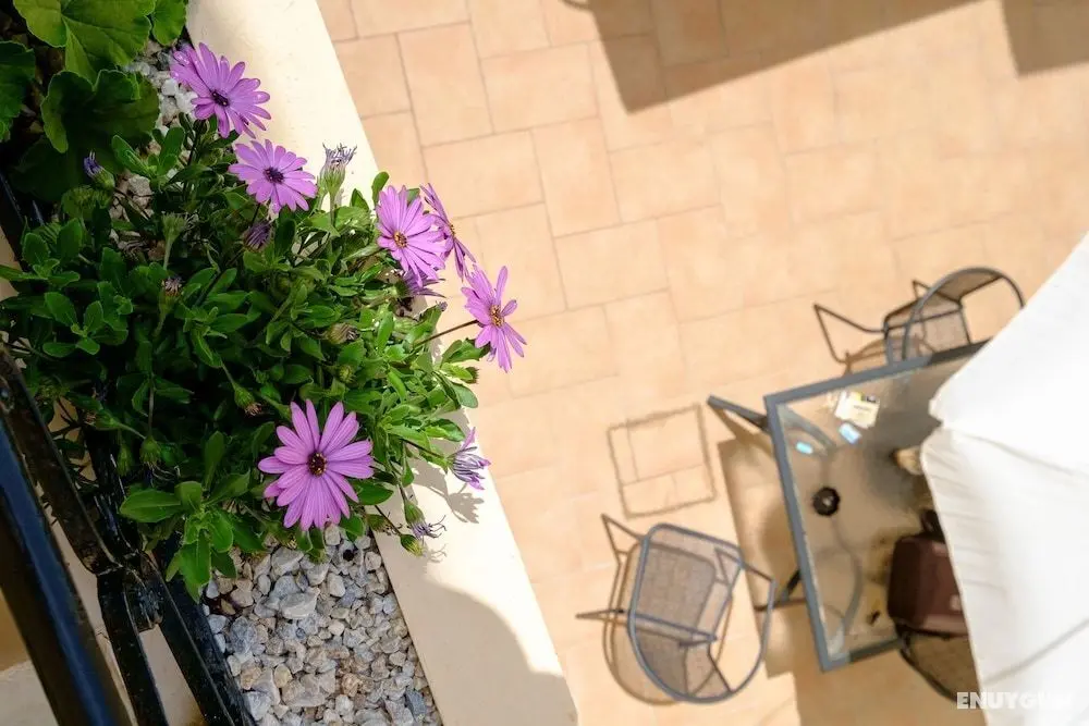 Home with Courtyard in Heart of Old Town - Öne Çıkan Resim