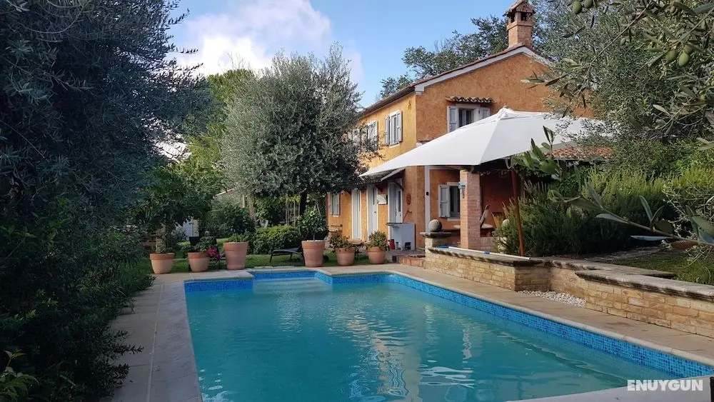 Home set in Olive Grove With Stunning Views - Öne Çıkan Resim