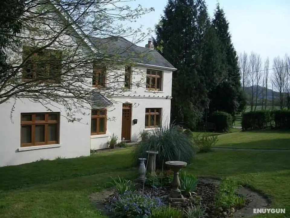 Homelea Bed and Breakfast - Dış Mekanlar