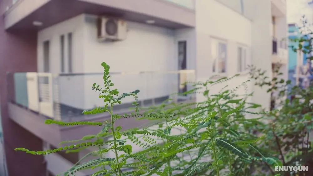 Homestay Sunny's House - Oda