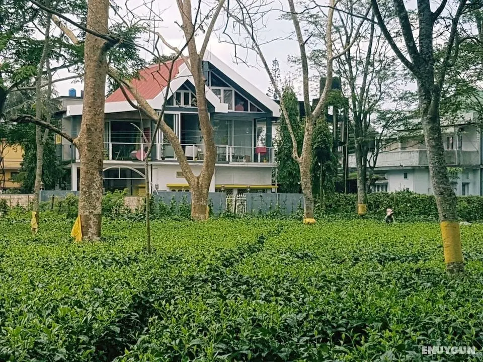 Homestay By the Tea Garden Dibrugarh - Dış Mekan